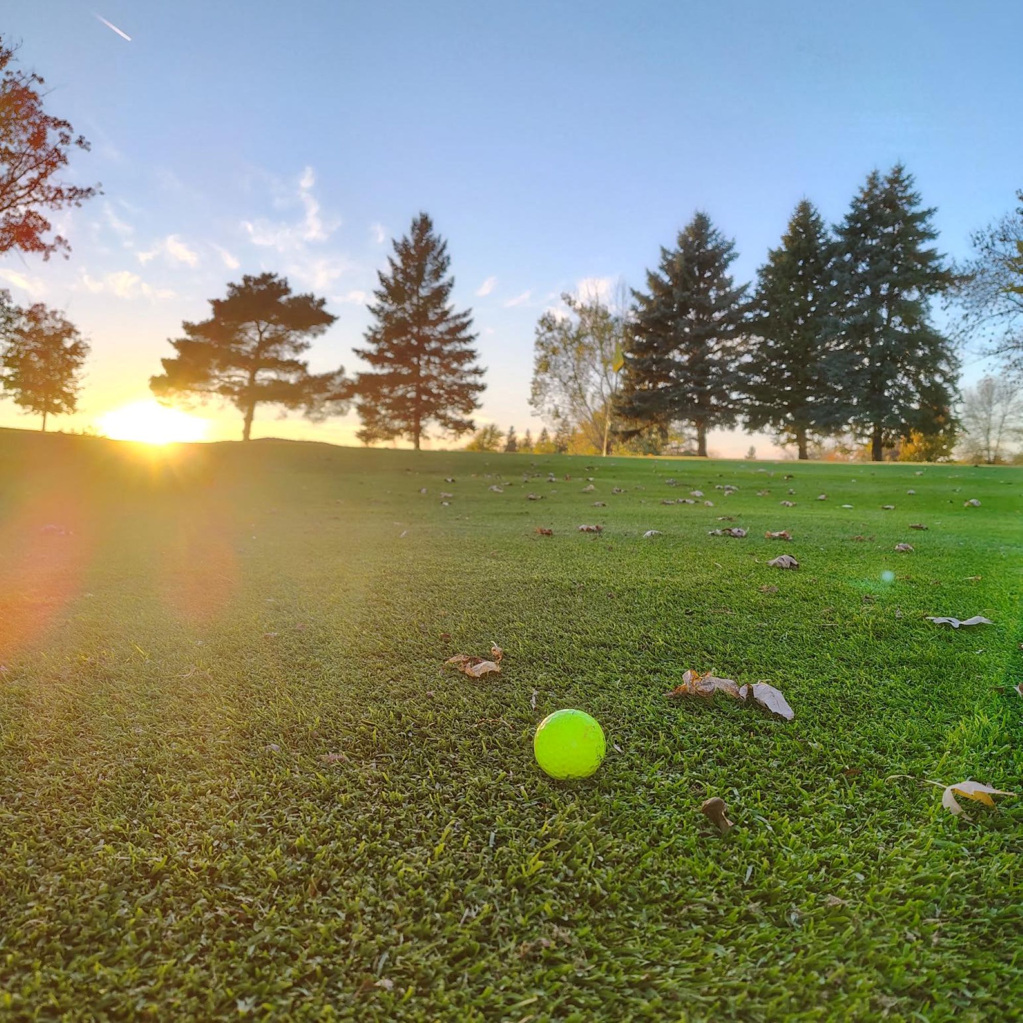 Image of golf ball on tee on grass.