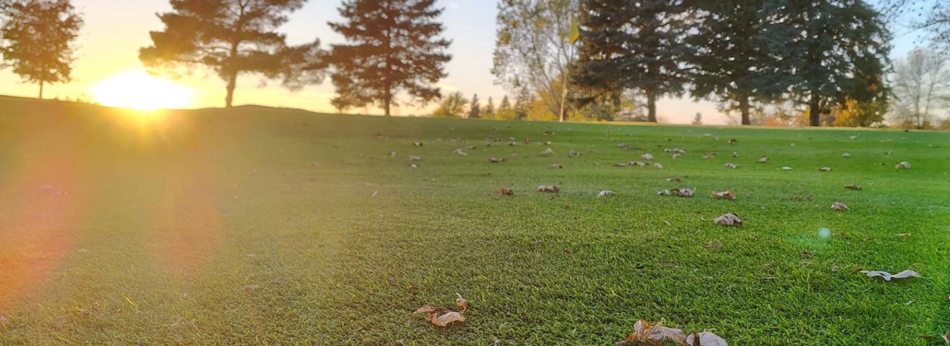 Yellow ball on golf course